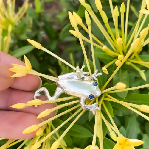 The magic of following a dream symbolised by Blu the frog. Blu represents the belief that we can and will make our dreams come true. No matter what.